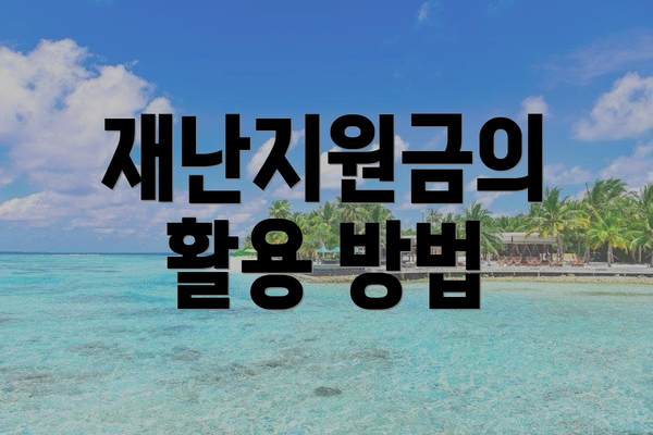 재난지원금의 활용 방법