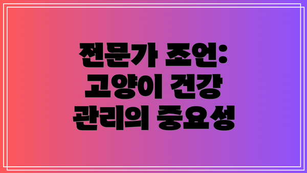 전문가 조언: 고양이 건강 관리의 중요성