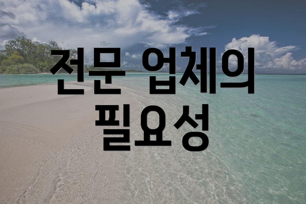 전문 업체의 필요성