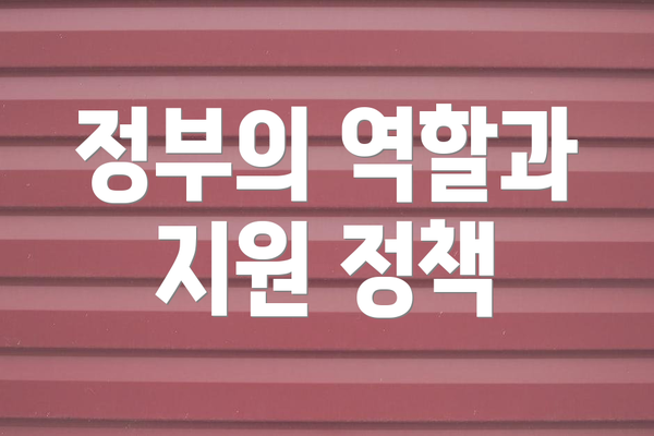 정부의 역할과 지원 정책