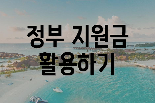 정부 지원금 활용하기