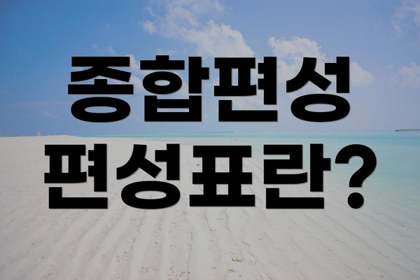 종합편성 편성표란?