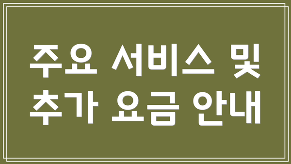 주요 서비스 및 추가 요금 안내