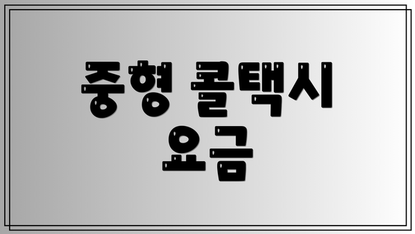 중형 콜택시 요금