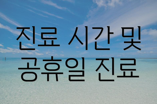 진료 시간 및 공휴일 진료