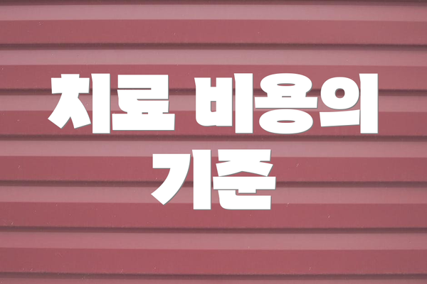 치료 비용의 기준