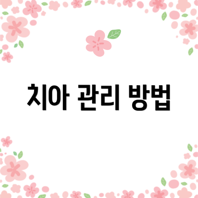 치아 관리 방법