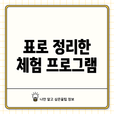 표로 정리한 체험 프로그램