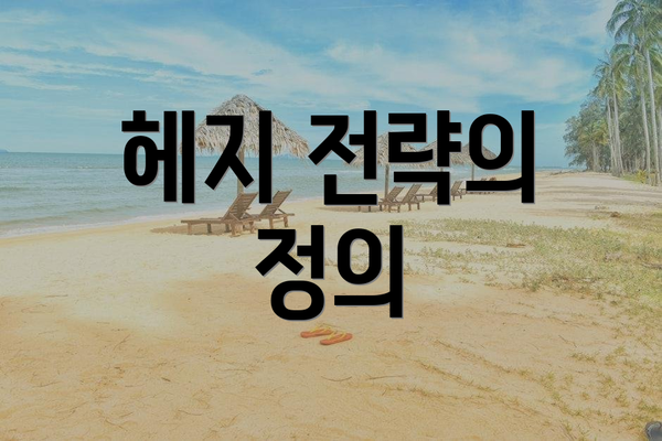 헤지 전략의 정의