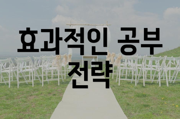 효과적인 공부 전략