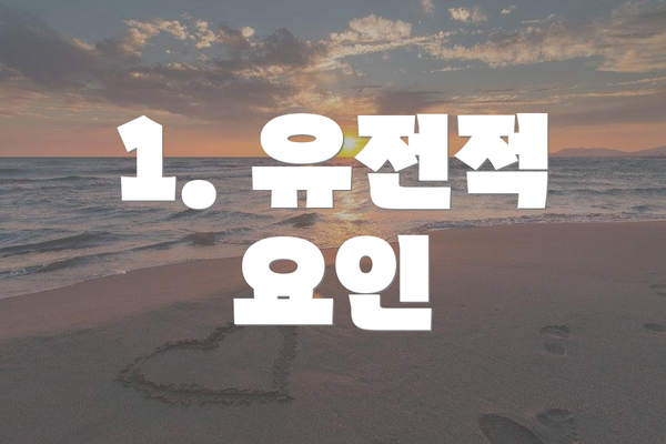 1. 유전적 요인