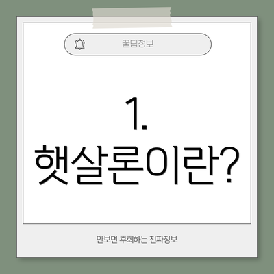 1. 햇살론이란?