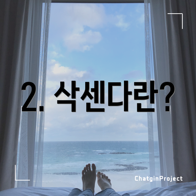 2. 삭센다란?