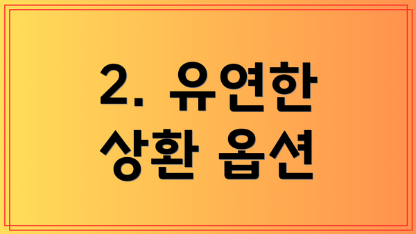 2. 유연한 상환 옵션