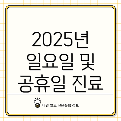 2025년 일요일 및 공휴일 진료