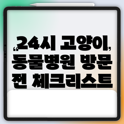 24시 고양이 동물병원 방문 전 체크리스트