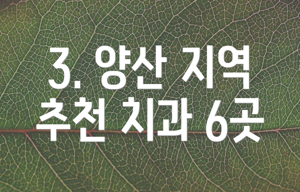 3. 양산 지역 추천 치과 6곳