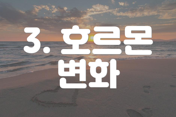 3. 호르몬 변화