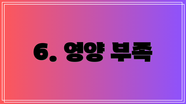 6. 영양 부족