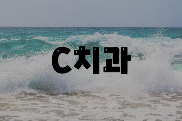 C치과