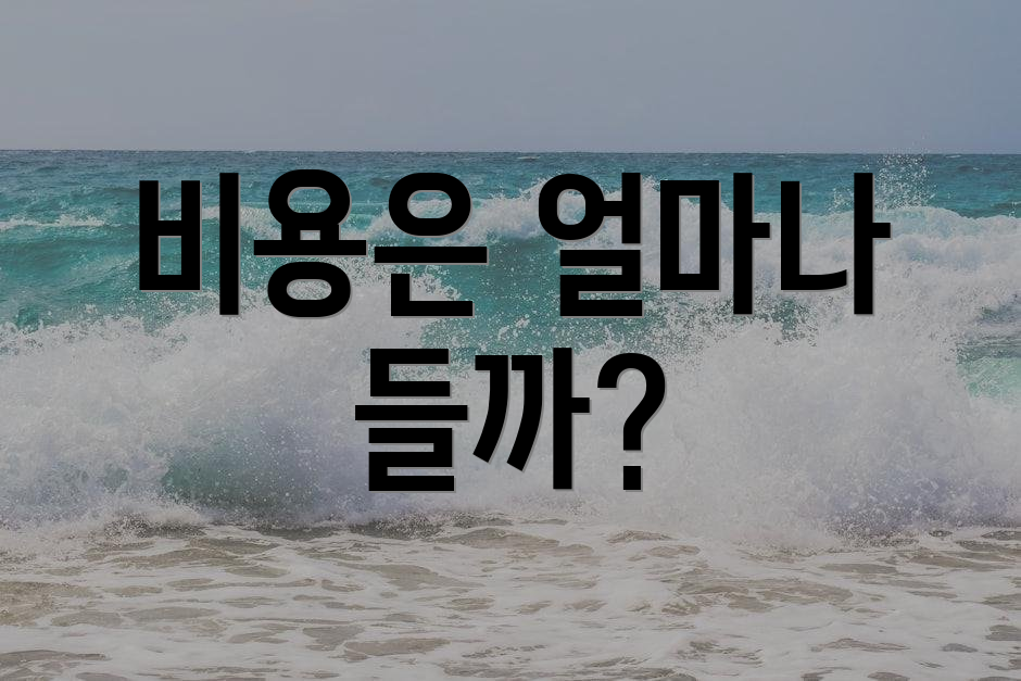 비용은 얼마나 들까?