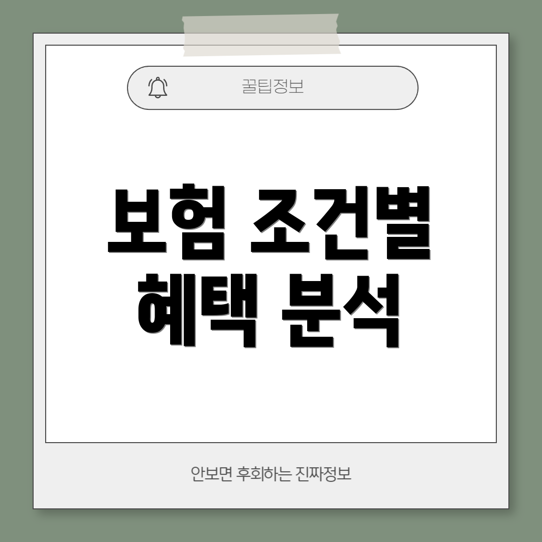 보험 조건별 혜택 분석