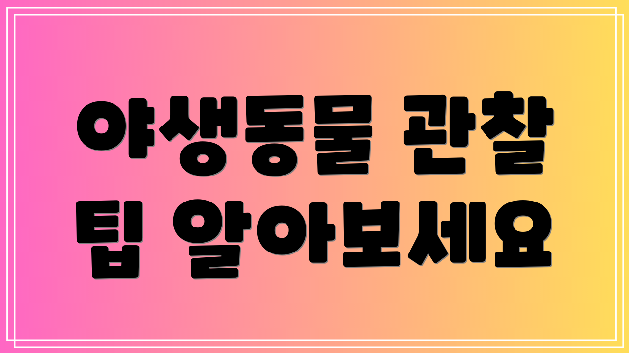 야생동물 관찰 팁 알아보세요
