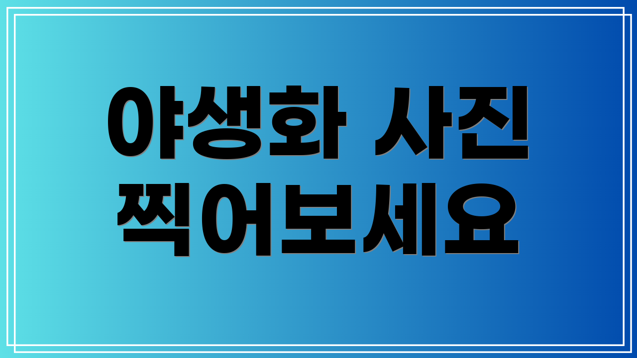 야생화 사진 찍어보세요