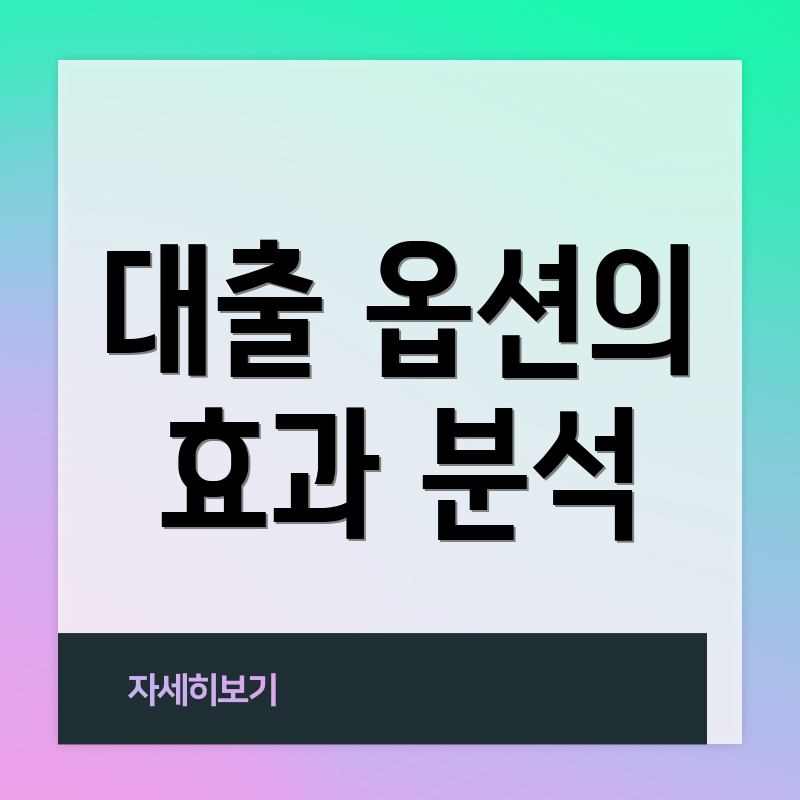 대출 옵션의 효과 분석