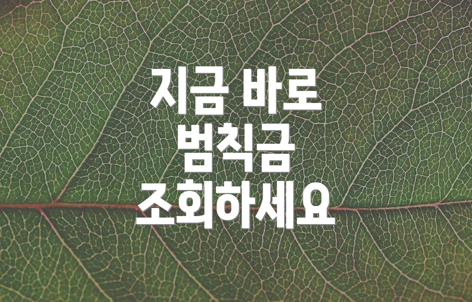 지금 바로 범칙금 조회하세요