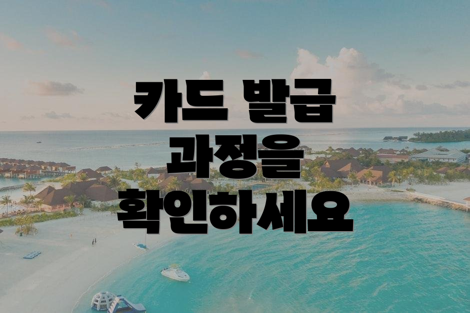 카드 발급 과정을 확인하세요