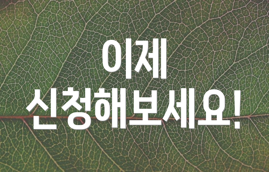 이제 신청해보세요!