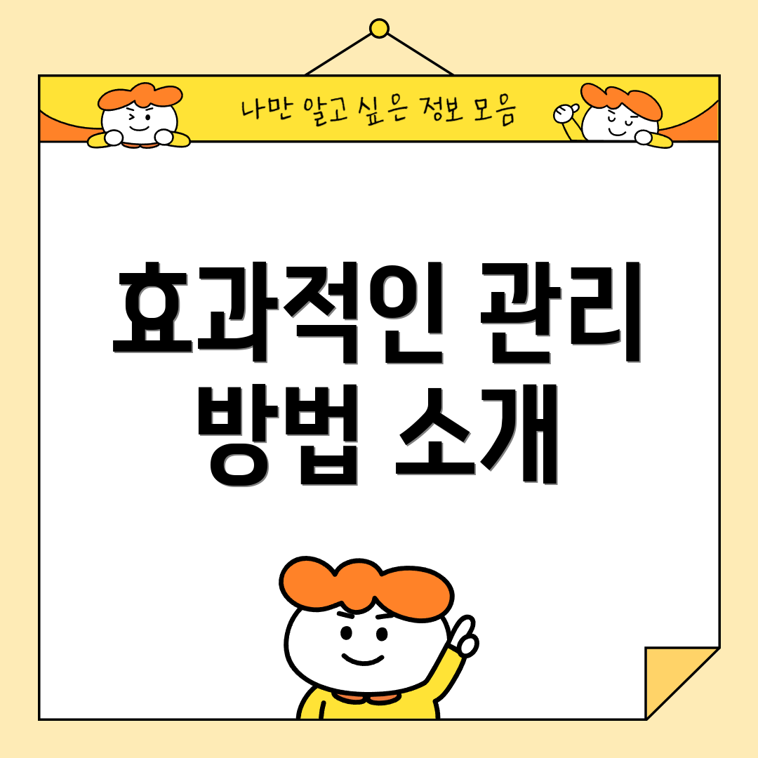 효과적인 관리 방법 소개