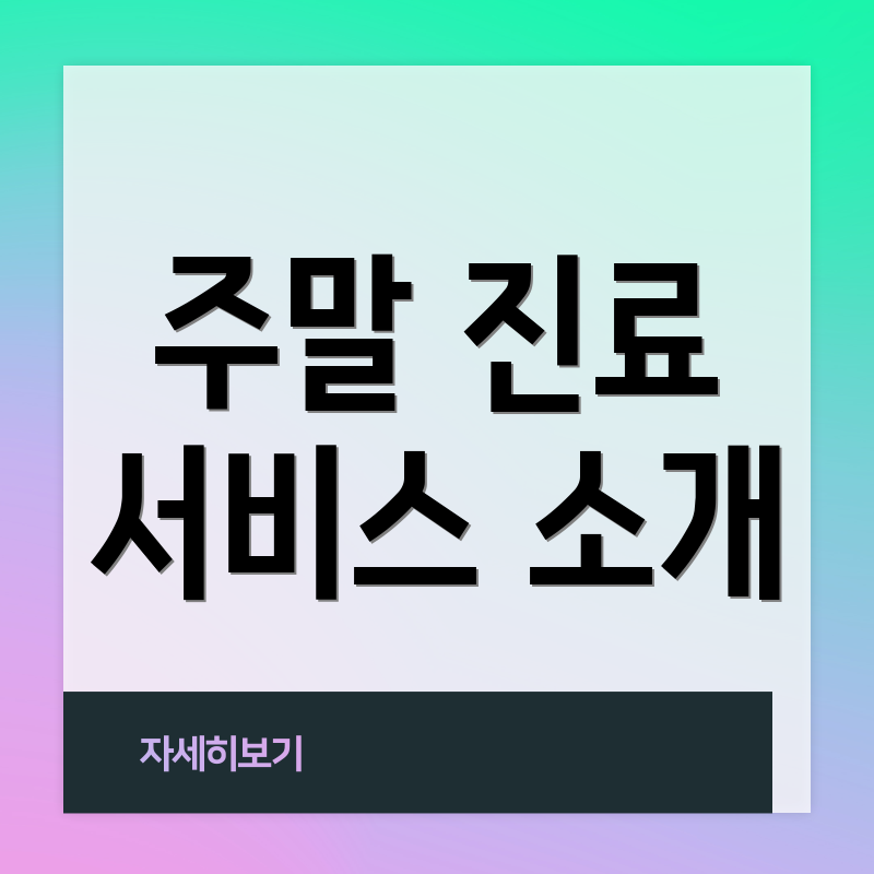 주말 진료 서비스 소개