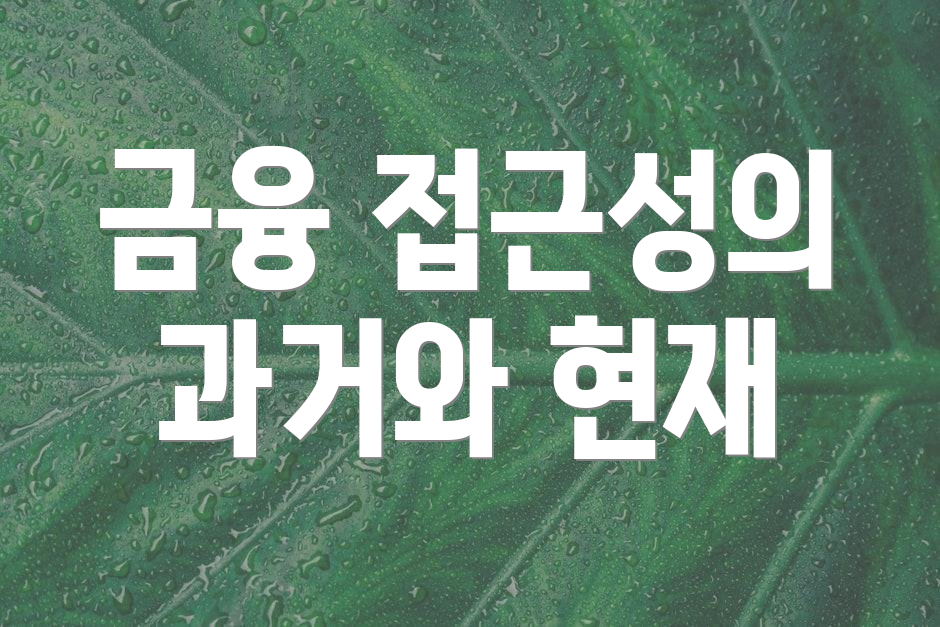금융 접근성의 과거와 현재