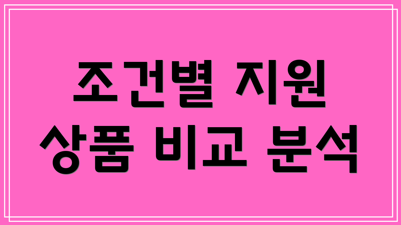 조건별 지원 상품 비교 분석