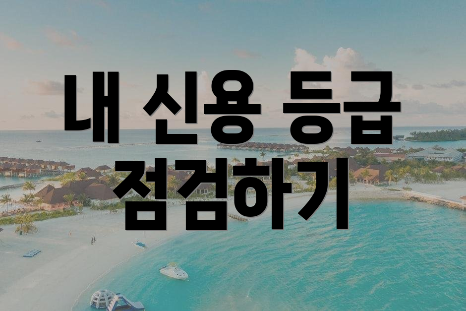 내 신용 등급 점검하기