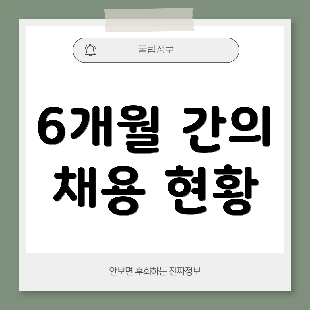 6개월 간의 채용 현황