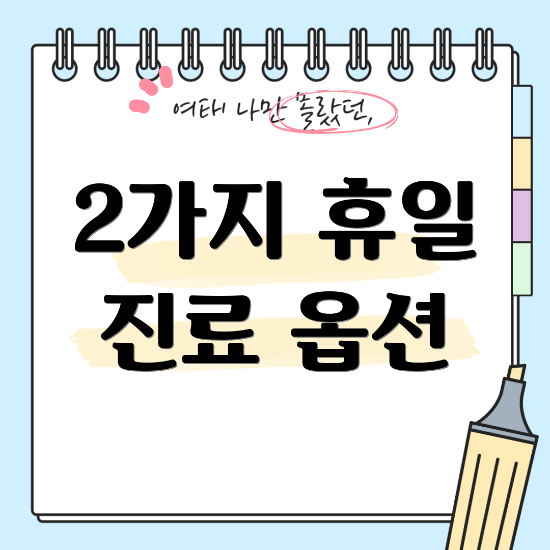 2가지 휴일 진료 옵션