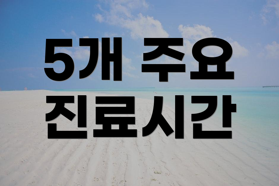 5개 주요 진료시간