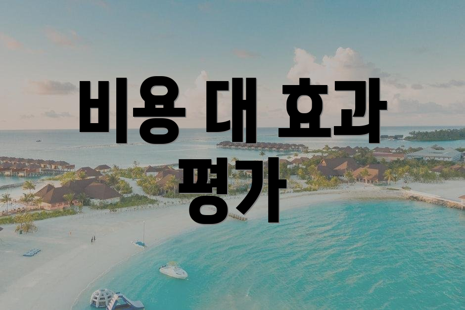 비용 대 효과 평가