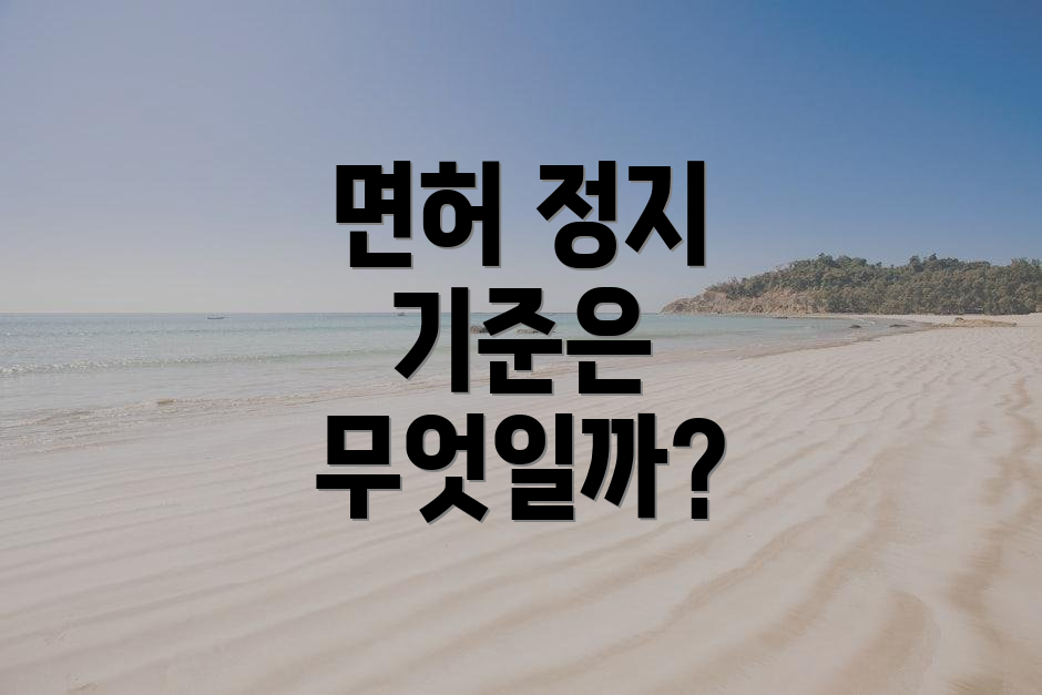 면허 정지 기준은 무엇일까?