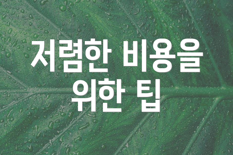 저렴한 비용을 위한 팁