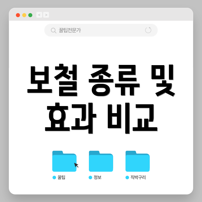 보철 종류 및 효과 비교
