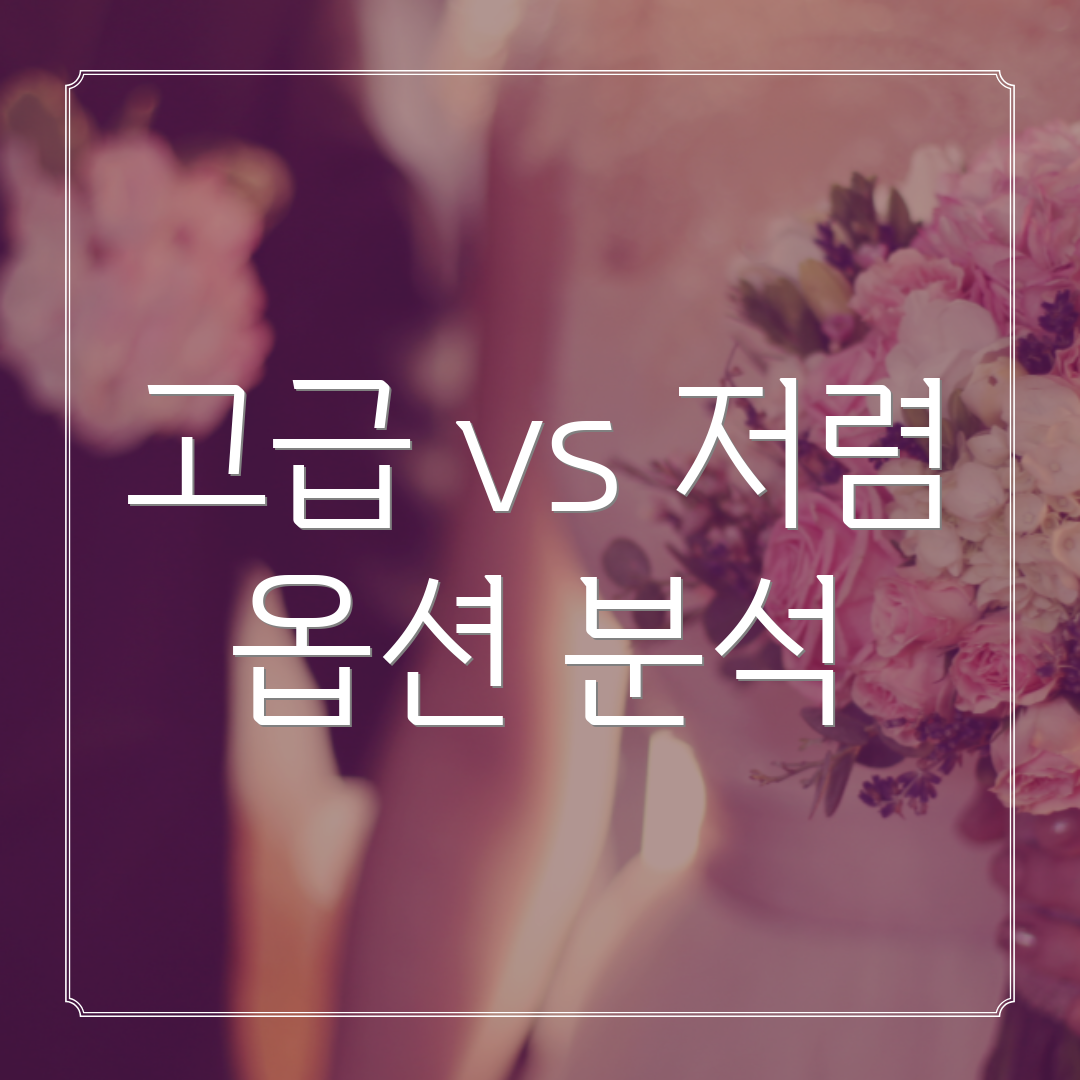 고급 vs 저렴 옵션 분석