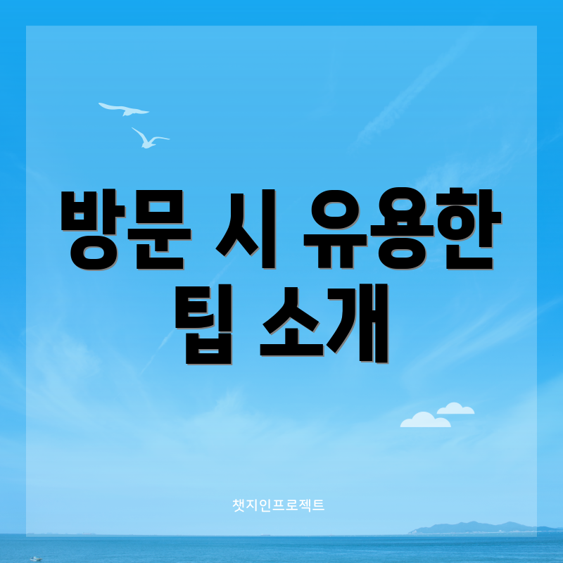 방문 시 유용한 팁 소개
