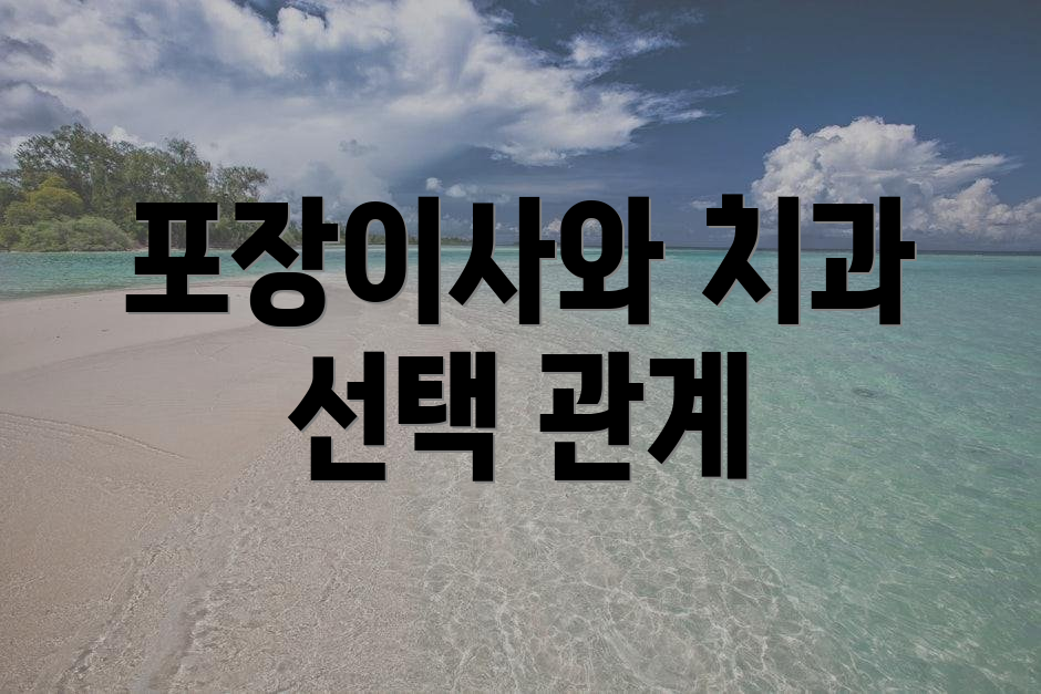 포장이사와 치과 선택 관계