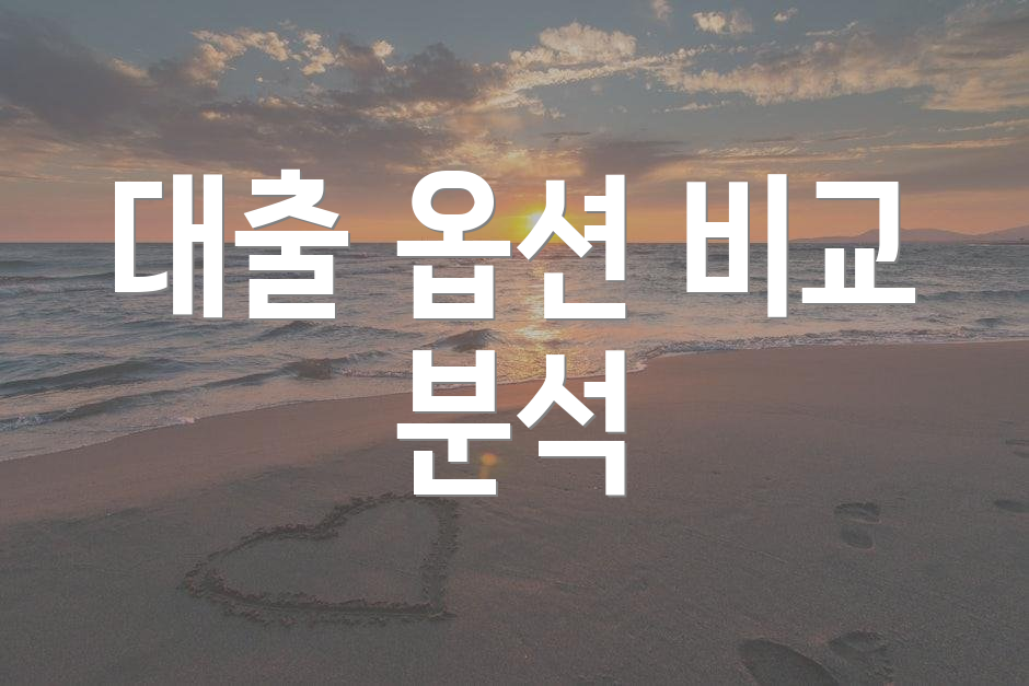 대출 옵션 비교 분석