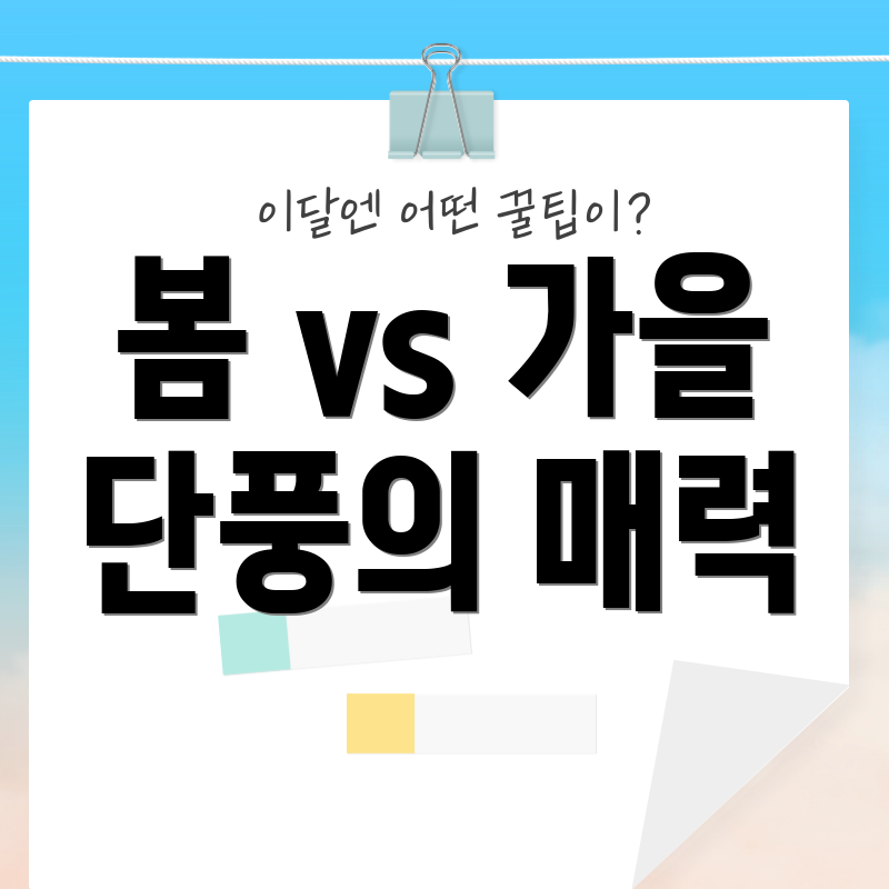 봄 vs 가을 단풍의 매력
