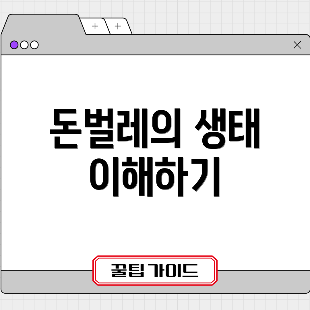 돈벌레의 생태 이해하기